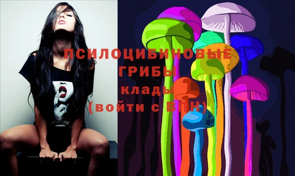 индика Наволоки