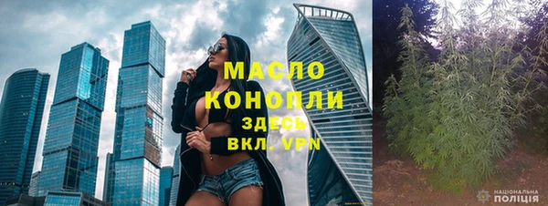 индика Наволоки