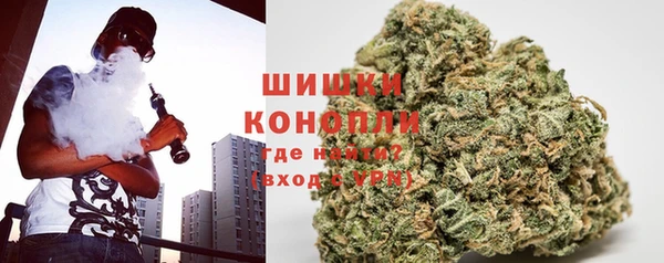 индика Наволоки