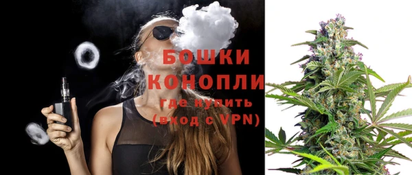 индика Наволоки
